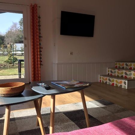 Modernes Ferienhaus Willingen فيلنغن المظهر الخارجي الصورة