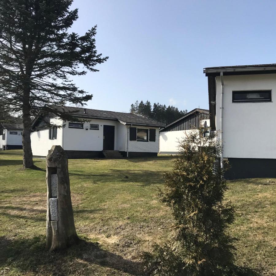 Modernes Ferienhaus Willingen فيلنغن المظهر الخارجي الصورة
